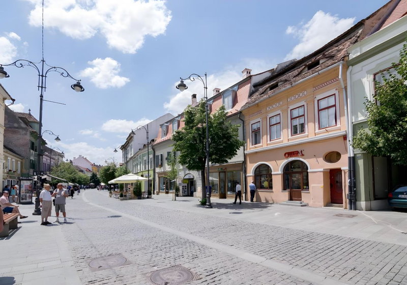 Folkloric loft - Ulita Romaneasca (brown), Sibiu, Romania
