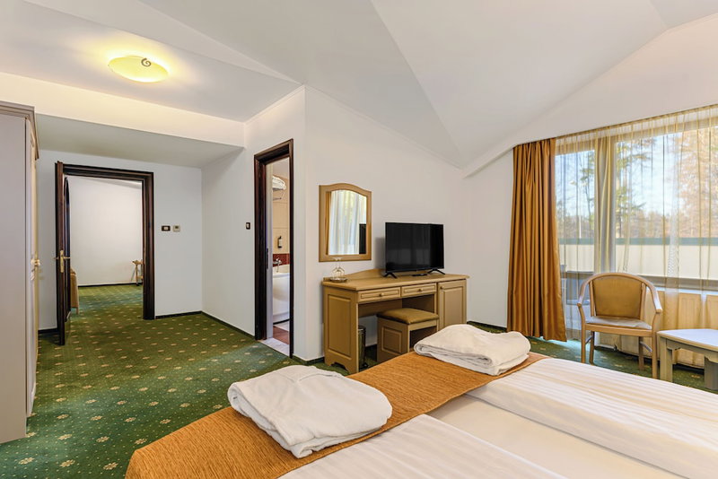 Hotel Casa Viorel, Brasov, Romania