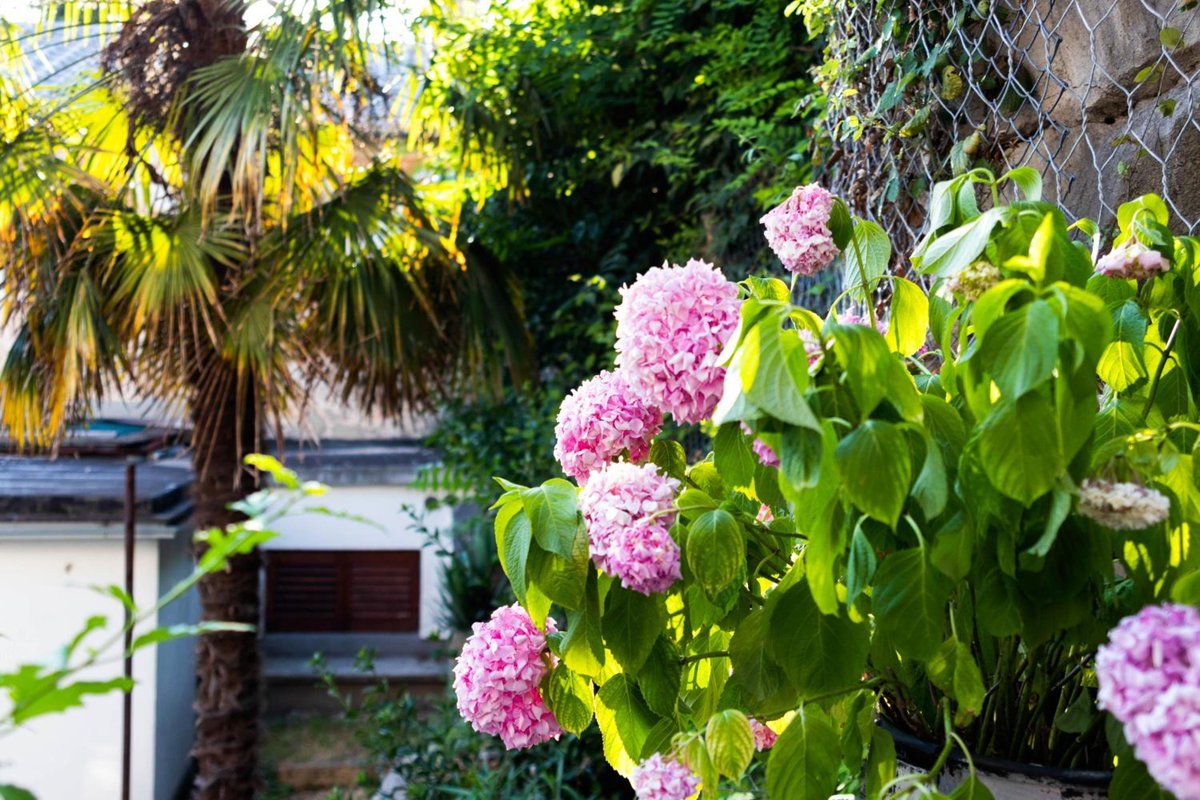 Hotel · Little Fish studio, Rijeka