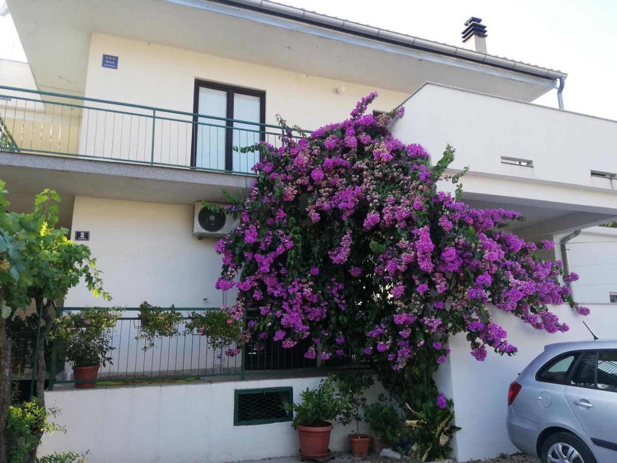 Hotel · Apartmani Danica, Pirovac