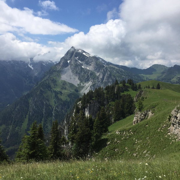 Gasthof Hirschen, Oey, Switzerland
