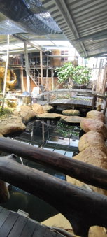The Secret Sanctuary Boutique Cottage Kuching, Kuching, Malaysia