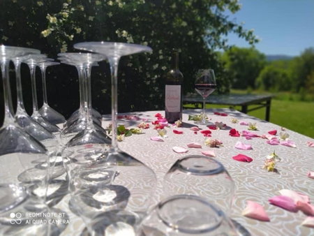 Domaine La Tour, Loubens, France