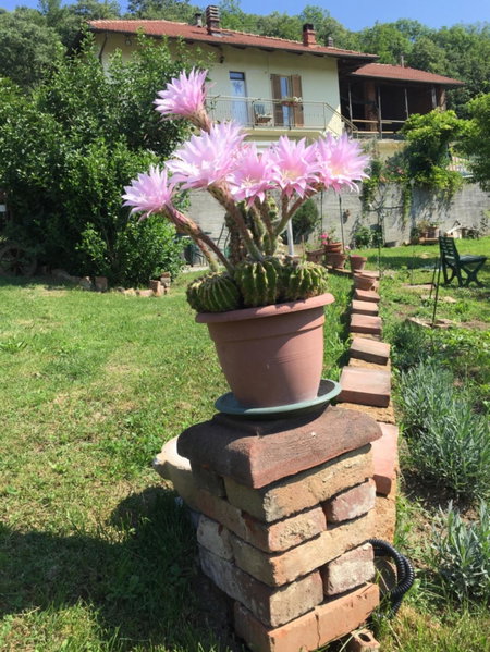 B&b Oca Carolina, Buttigliera Alta, Italy