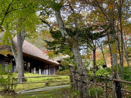 Hana to Hana, Nikko, Japan