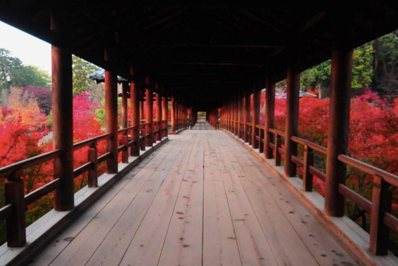 Ougi-an, Kyoto, Japan
