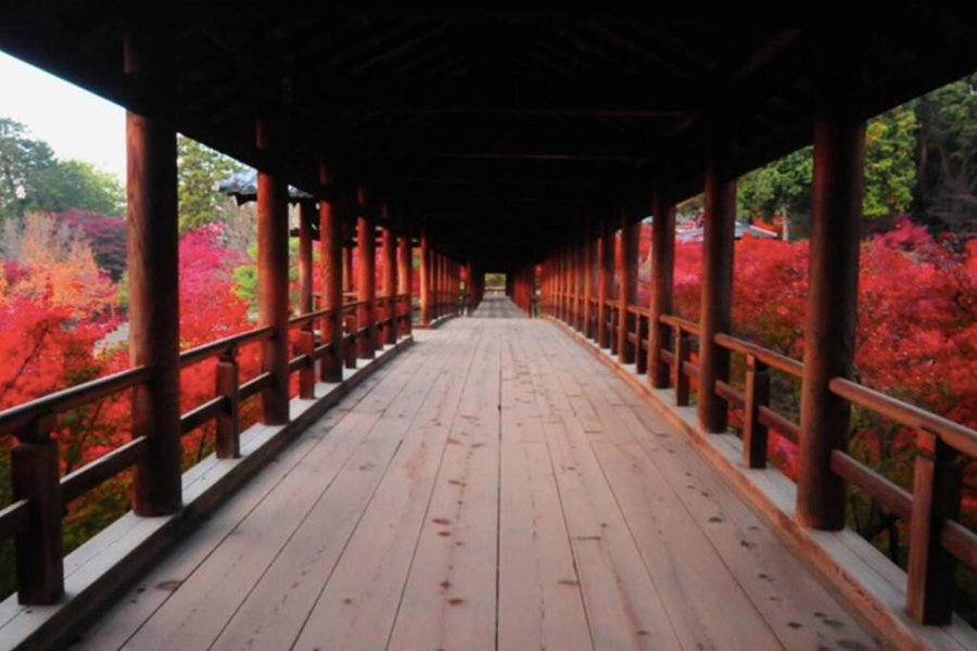 Ougi-an, Kyoto, Japan