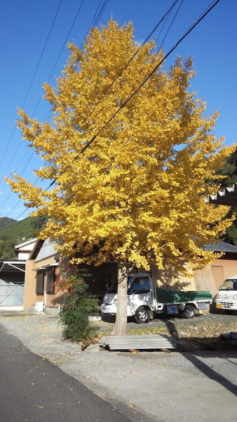 Nouka Minpaku Mirainouen, Tanabe, Japan