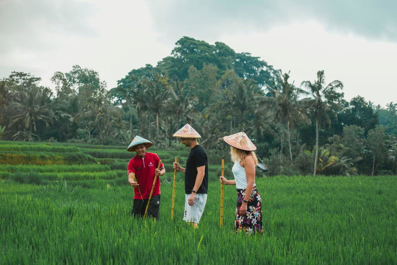 Emana Abian Taksu, Ubud, Indonesia
