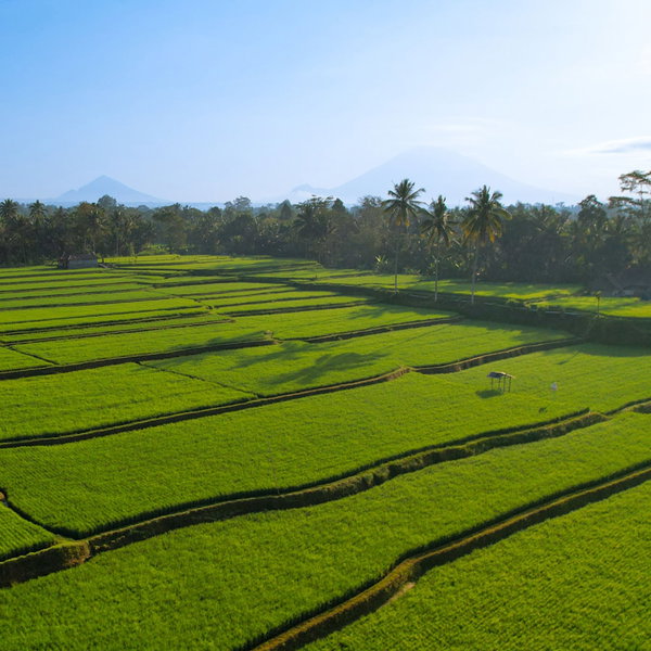 Ayawana Private Villa by ARM Hospitality, Tegallalang, Indonesia