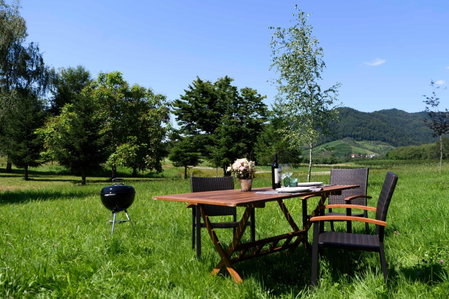 Grimmersberg, Oberkirch, Germany