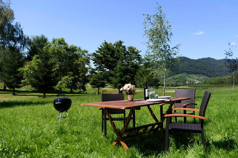 Grimmersberg, Oberkirch, Germany