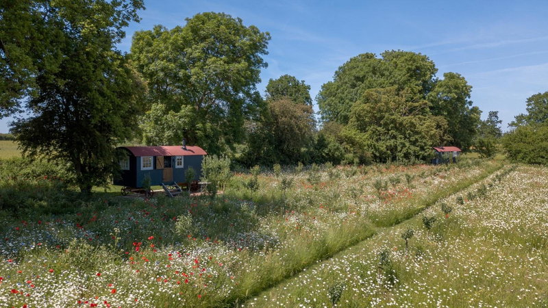 Wellbeing Orchard, Stamford, United Kingdom
