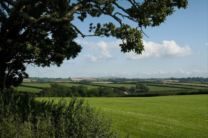 Tregondale Manor Farm, Liskeard, United Kingdom