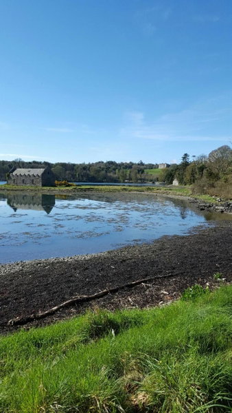 The Castle Apartment, Strangford, United Kingdom