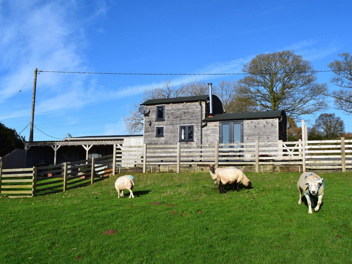 Hotel · Shepherds Cabin at Titterstone Hot Tub & Dog-Friendly near Ludlow, Farden