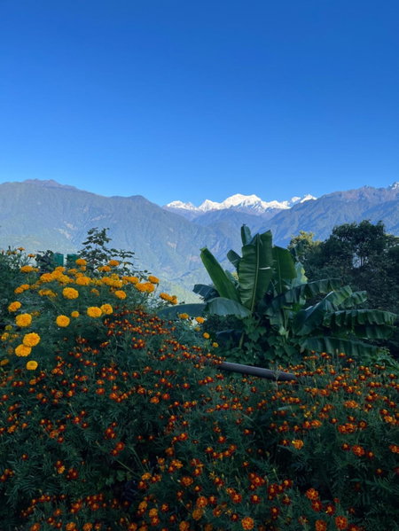 Ifseen Villa, Pelling, India