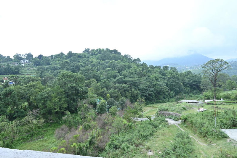 The Blossom Glee, Bhīm Tāl, India
