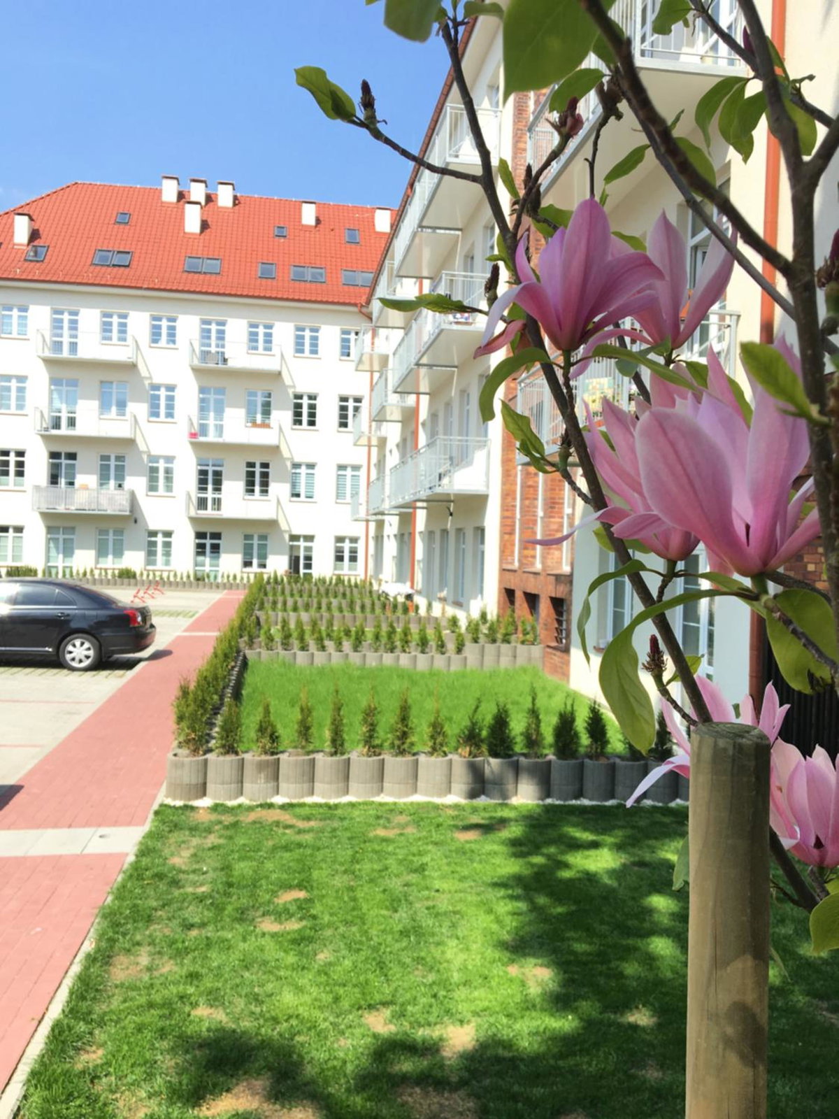 Janosik, Polonia