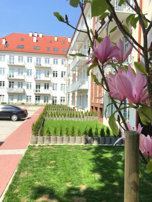 Janosik, Szczecin, Poland