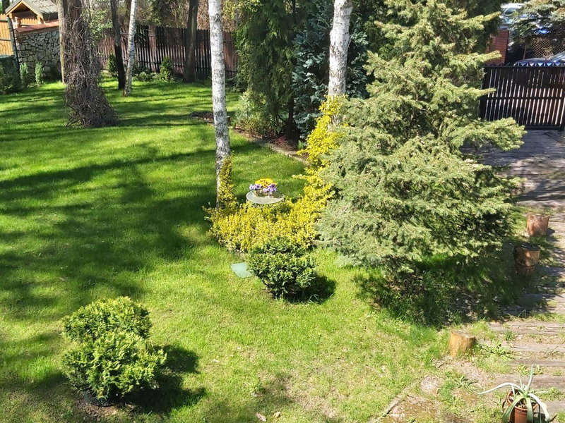 Casa Pablo, Jabłonna, Poland