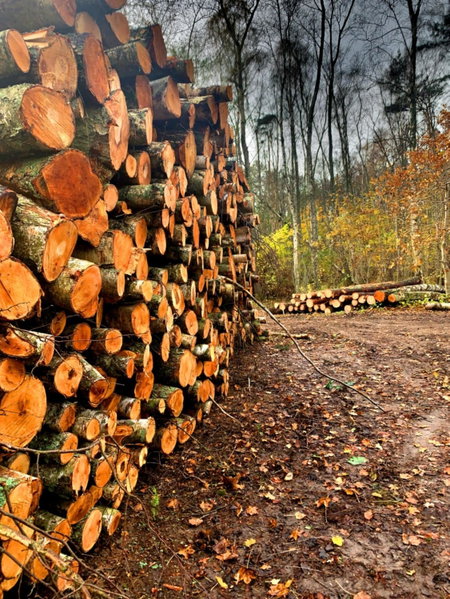 Apartament Kalimera, Karwia, Poland
