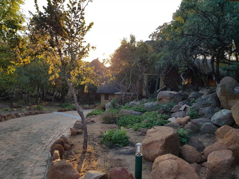 Gecko Lodge and Cottage, Mabalingwe, Warmbaths, South Africa