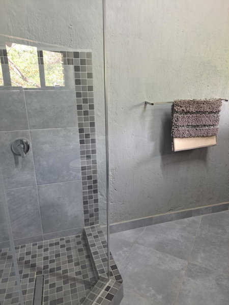 Gecko Lodge and Cottage, Mabalingwe, Warmbaths, South Africa