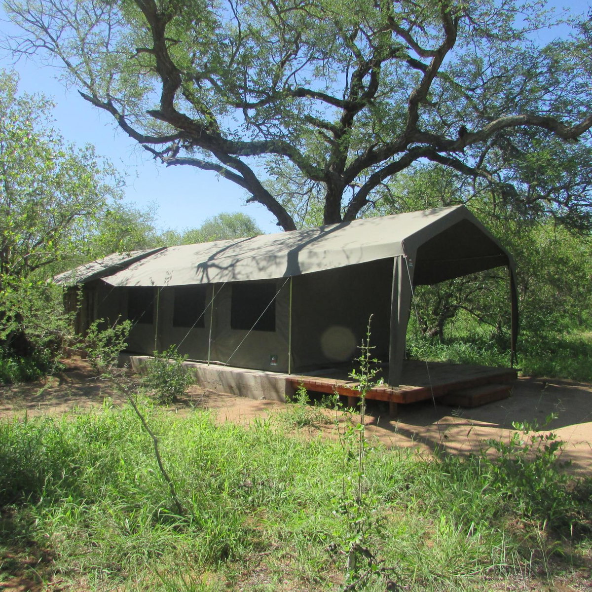 Hotel · Masingitana Tented Camp, Utlha