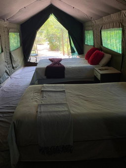 Masingitana Tented Camp, Utlha, South Africa