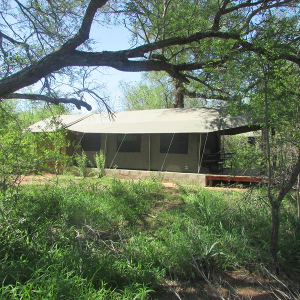 Masingitana Tented Camp, Utlha, South Africa