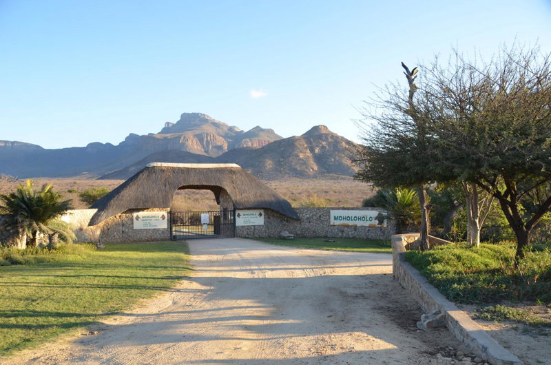 Moholoholo Mountain View, Hoedspruit, South Africa