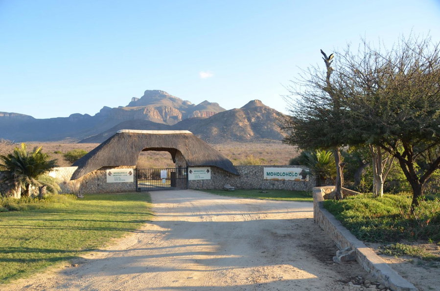 Moholoholo Mountain View, Hoedspruit, South Africa