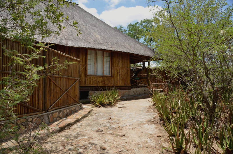Moholoholo Mountain View, Hoedspruit, South Africa