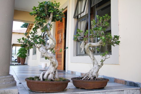 Black Horses Lodge & Conferencing, Vryheid, South Africa