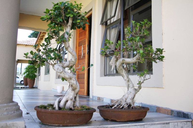Black Horses Lodge & Conferencing, Vryheid, South Africa