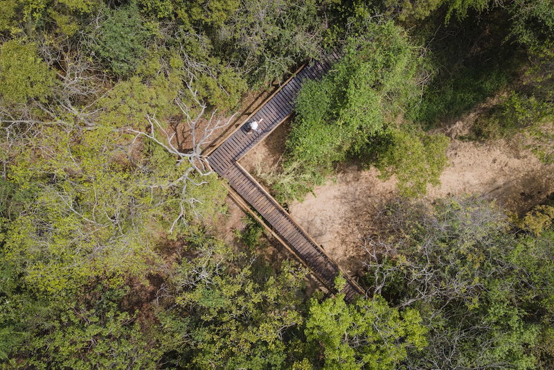 Panzi Lodge, Hoedspruit, South Africa