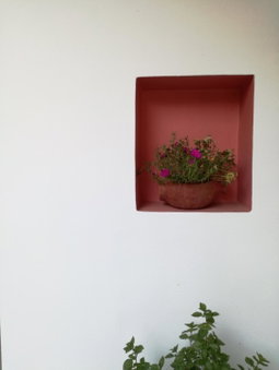Tony studio & apartments, Laganas, Greece