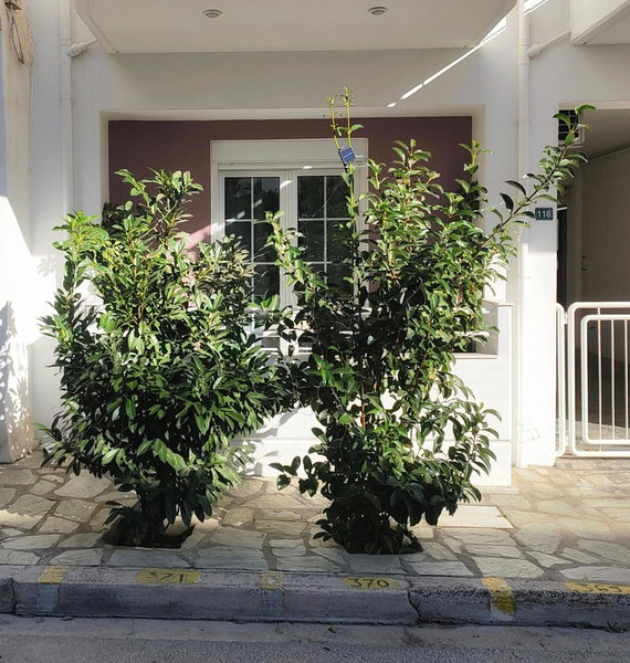 Home Volos, Volos, Greece