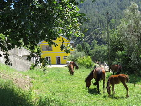 Quinta Machado Da Pedra Bela, Geres, Portugal