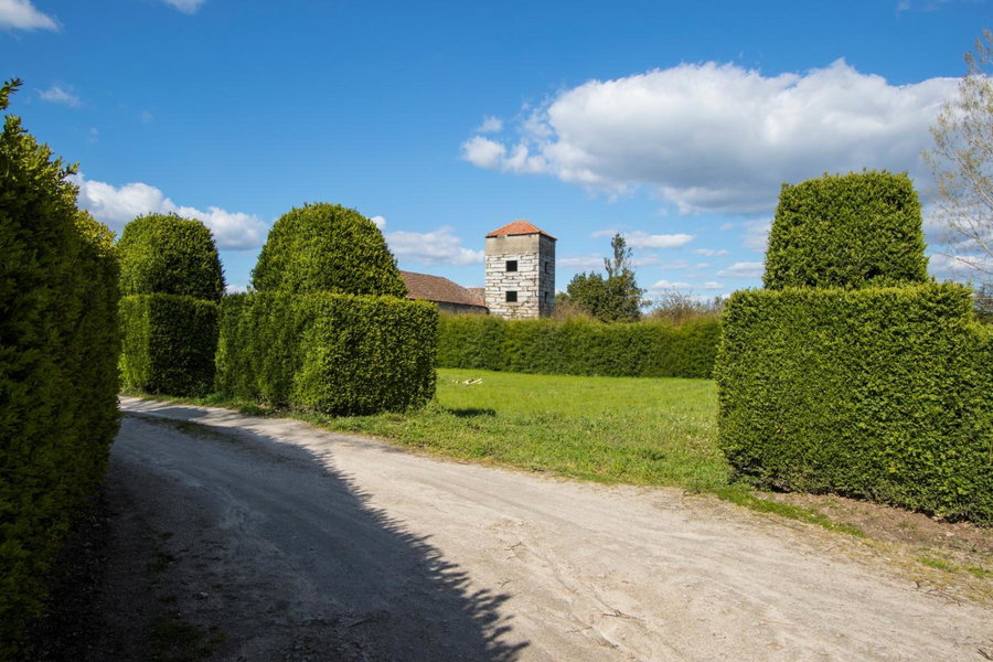 Quinta da Fata, Nelas, Portugal