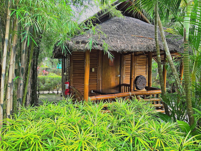 Nativo d kubo, San Vicente, Philippines