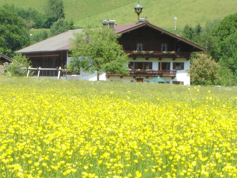 Landgasthof Dorfstadl, Kössen, Austria