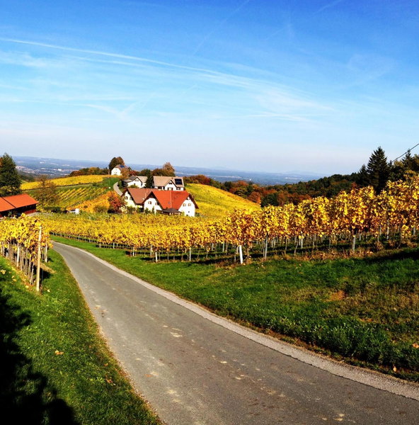 Weingut Schwarzl, Ratsch an der Weinstraße, Austria