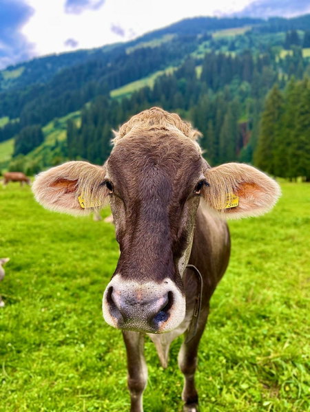 Haizelrock, Kirchberg in Tirol, Austria