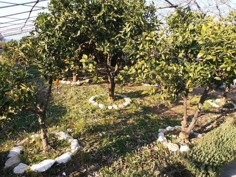 Jenny`s House, Supetar, Croatia
