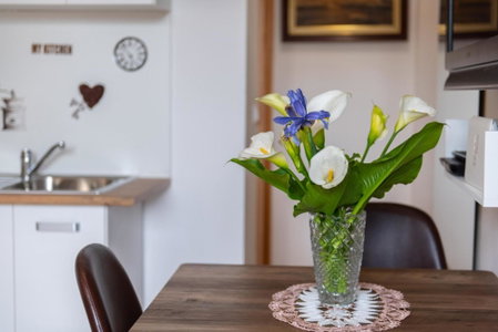 Studio Apartment Vittoria, Lovran, Croatia
