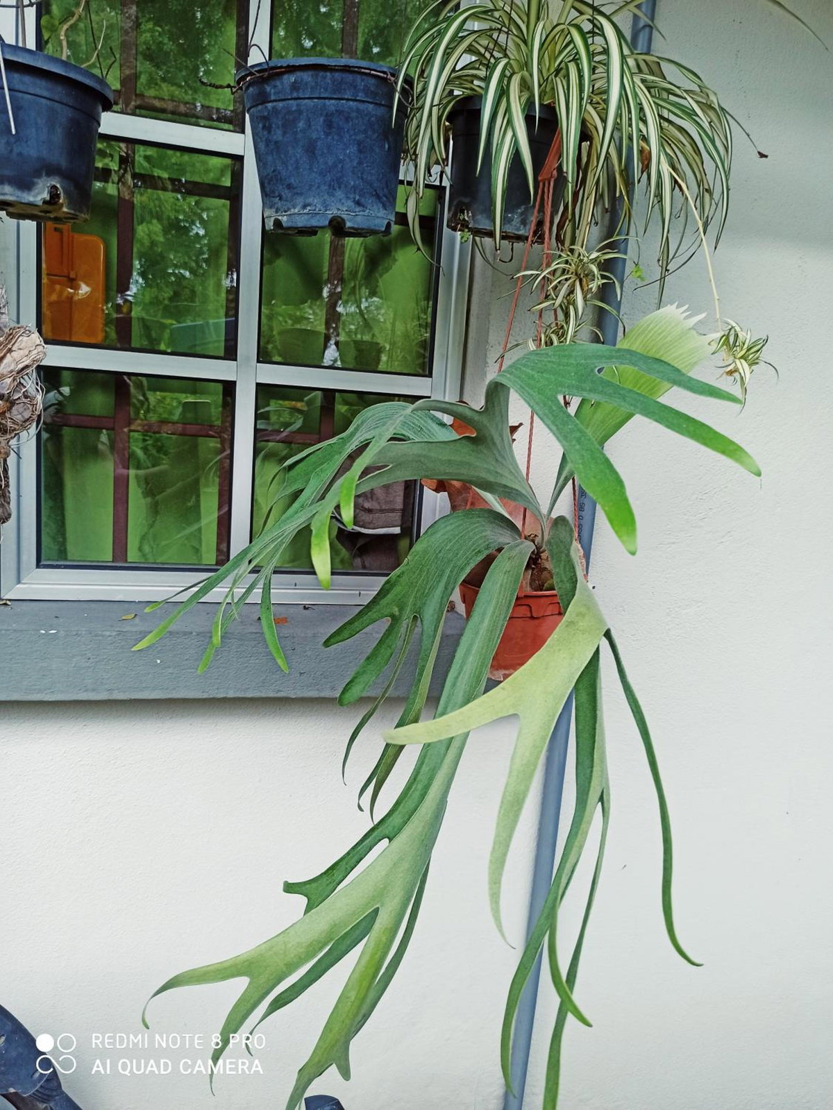 Hotel · New Garden View GF Double Room FREE parking, Batu Unjor