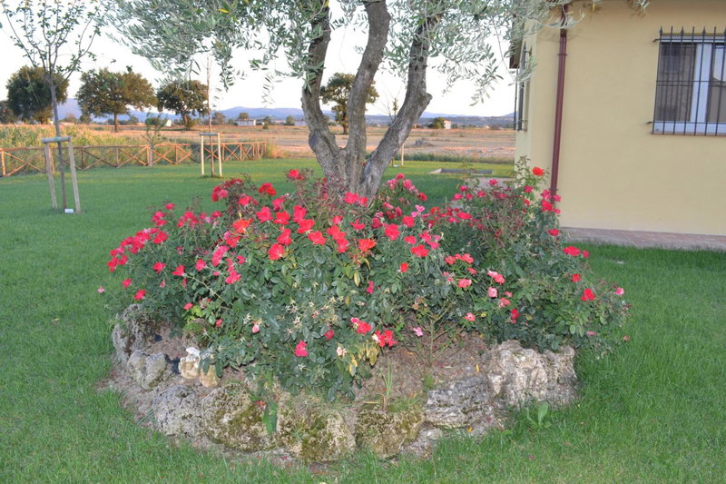 Il casale di famiglia, Montefalco, Italy