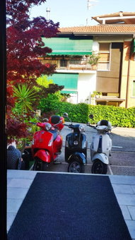 Hotel Virginia, Garda, Italy
